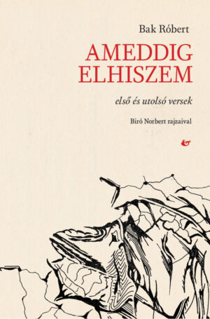Bak Róbert: <br>Ameddig elhiszem