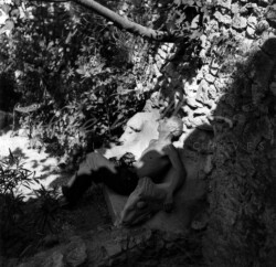 Saint-Martin-d'Ardèche - Max a ház falánál pihenget (Lee Miller fotója)